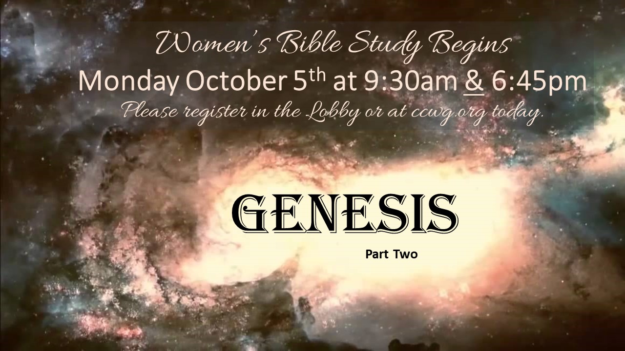 2020-21 Women's Bible Study